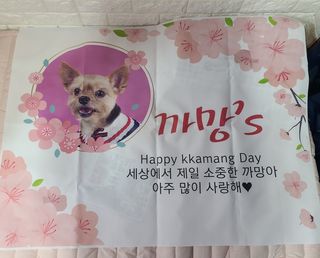요하님이 올린 리뷰 사진 3