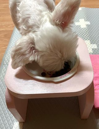 cherry님이 올린 리뷰 사진 3