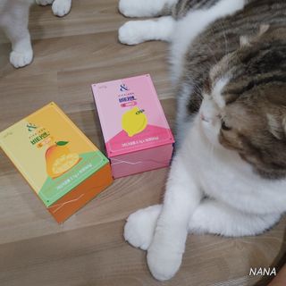 비타앤C 레몬맛, 망고맛 — 5점을 준 리뷰어가 2021년 4월 올린 사용 사진