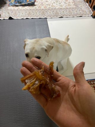 정봐기린님이 올린 리뷰 사진 3