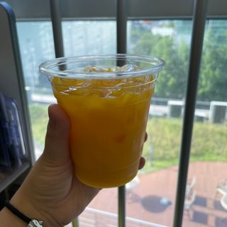 탐라원 제주의 맛, 몬딱주스 4종세트 - 한라봉몬딱주스, 천혜향몬딱주스, 청귤에이드, 당근몬딱주스 — 5점을 준 리뷰어가 2021년 8월 올린 사용 사진