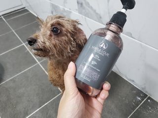 마리앤루이펫샴푸 [mari and louie pet shampoo] — 5점을 준 리뷰어가 2021년 6월 올린 사용 사진