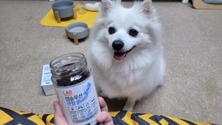 랩솔루션 강아지 영양제 3종 중 택 1 — 5점을 준 리뷰어가 2022년 5월 올린 사용 사진