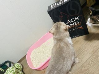 주희렐라님이 올린 리뷰 사진 3