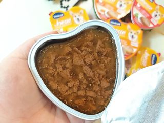비타크래프트 조에시 하트캔 85g 강아지 습식캔 10캔 — 5점을 준 리뷰어가 2021년 7월 올린 사용 사진