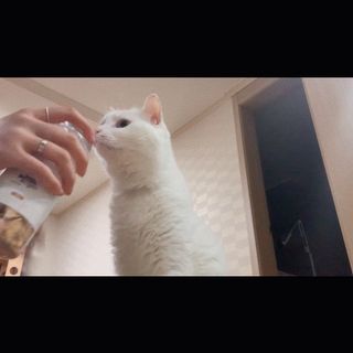 ㄹ진님이 올린 리뷰 사진 3