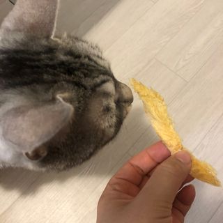 효니님이 올린 리뷰 사진 4