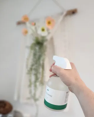제주녀님이 올린 리뷰 사진 2