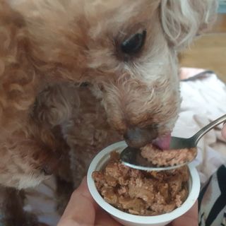 BakVeronica님이 올린 리뷰 사진 3