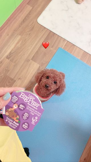 KellyChoi님이 올린 리뷰 사진 1
