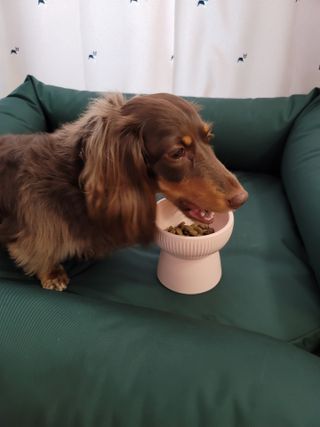 llalla님이 올린 리뷰 사진 3