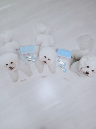 페페로니 2종 세트 클린플러스 덴탈껌 치킨+덕 — 5점을 준 리뷰어가 2021년 8월 올린 사용 사진