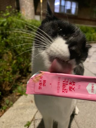 클로버님이 올린 리뷰 사진 1