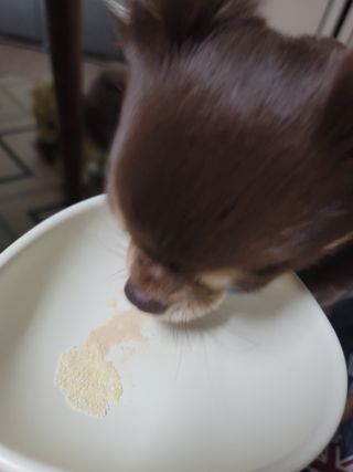 나초단맘님이 올린 리뷰 사진 4