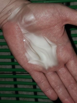 프리마인 더이상 뻣뻣하고 효과없는 탈모샴푸는 NO. 근본부터 케어하는 셀베이스 그린티샴푸(500ml) — 5점을 준 리뷰어가 2023년 3월 올린 사용 사진