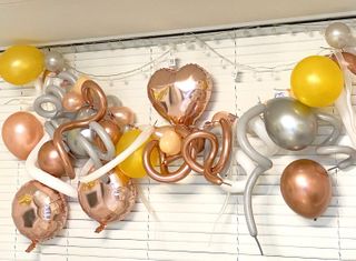 비앤포님이 올린 리뷰 사진 4
