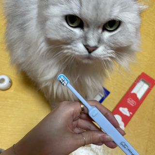 지혜정님이 올린 리뷰 사진 3