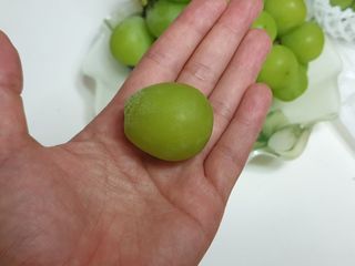 땡초언니님이 올린 리뷰 사진 2