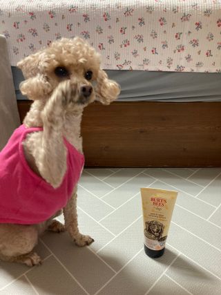 버츠비 케어플러스 릴리빙포앤노즈로션 — 5점을 준 리뷰어가 2021년 4월 올린 사용 사진