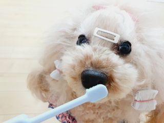 미니코코님이 올린 리뷰 사진 2