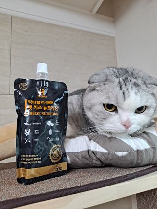 라니으니님이 올린 리뷰 사진 3