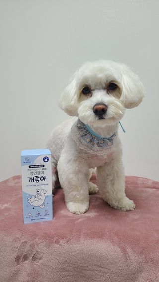 My Pet Care 장건강에 개좋아 — 5점을 준 리뷰어가 2021년 1월 올린 사용 사진