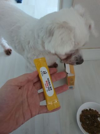 쮸동비님이 올린 리뷰 사진 1