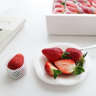 내삶의비타민님이 올린 리뷰 사진 1