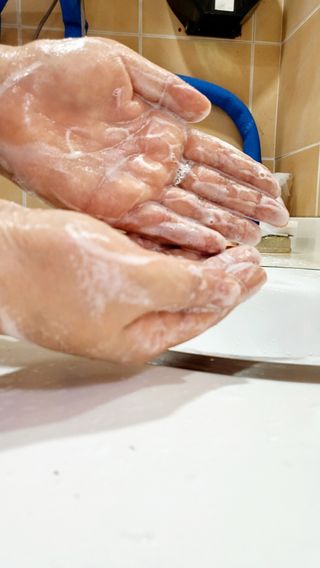 석류처럼님이 올린 리뷰 사진 4