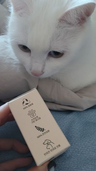소담스퀘어 상암 주식회사 에코스터프 펫버디 반려동물 마누카 검은콩 프로틴 샴푸바 — 5점을 준 리뷰어가 2022년 12월 올린 사용 사진