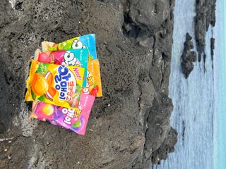 샐리님이 올린 리뷰 사진 2