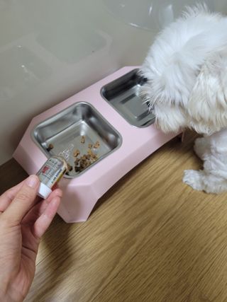 무지조타 반려동물용 꽃으로만든영양제 헬리코디펜스 15ml — 5점을 준 리뷰어가 2021년 8월 올린 사용 사진