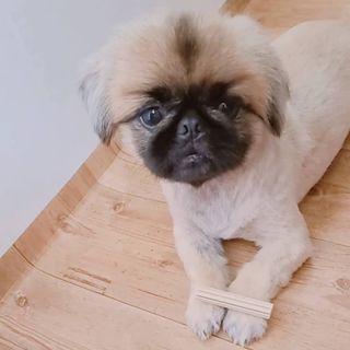 러블리혜교님이 올린 리뷰 사진 4