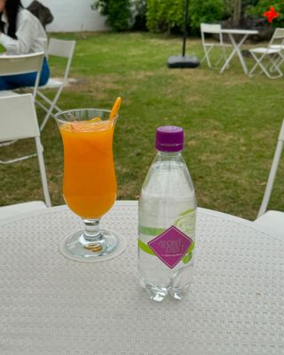 몽베스트 Montbest with Sparkling water Lemon OR Lime 20병(랜덤) — 5점을 준 리뷰어가 2024년 4월 올린 사용 사진
