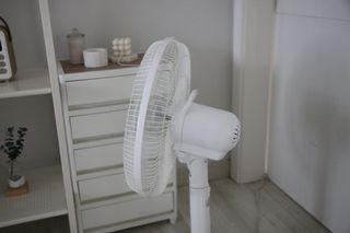 베베샤님이 올린 리뷰 사진 4