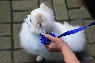 JAY님이 올린 리뷰 사진 2