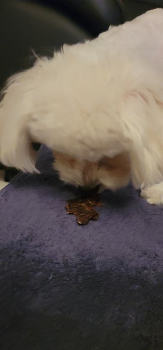 땅콩빠다님이 올린 리뷰 사진 3