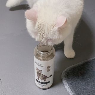 례진님이 올린 리뷰 사진 1