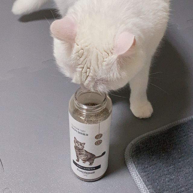 고양이 모래 탈취제 캐치멜 리뷰 사진
