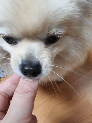레오포포님이 올린 리뷰 사진 3