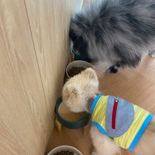 덕구리누나님이 올린 리뷰 사진 3