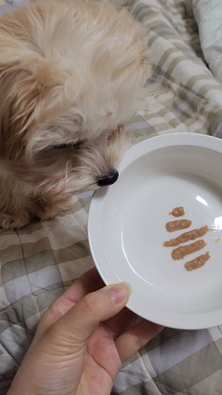 보람강님이 올린 리뷰 사진 4