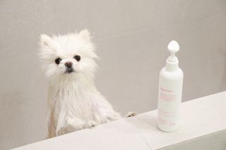 sunny님이 올린 리뷰 사진 3