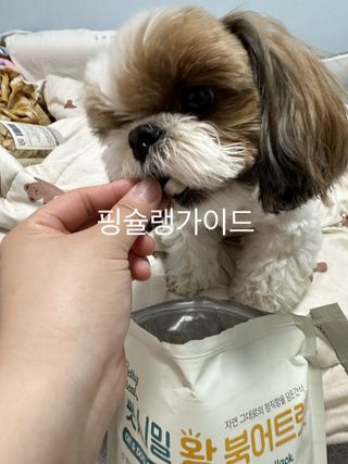 [펫시밀] 원물그대로 영양듬뿍 동결건조 왕북어트릿300g,왕치킨트릿400g,열빙어트릿300g 대용량 간식 — 5점을 준 리뷰어가 2023년 5월 올린 사용 사진