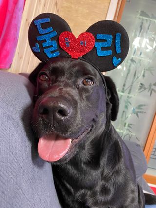 Lilly❤️님이 올린 리뷰 사진 3