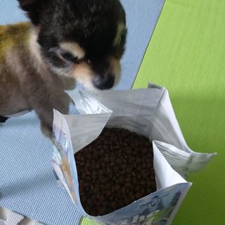 복도리님이 올린 리뷰 사진 2
