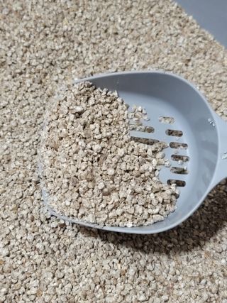 브라우니모래 [브라우니] 고양이 카사바모래 브라우니 천연 응고형 모래  6Lx2개 — 4.5점을 준 리뷰어가 2023년 11월 올린 사용 사진