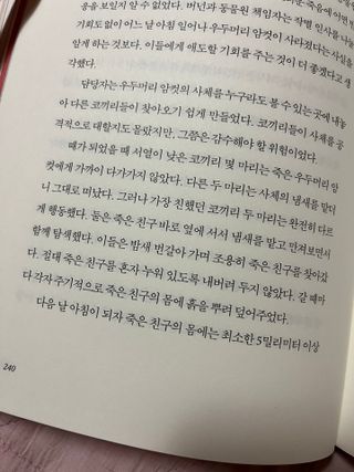 후잉님이 올린 리뷰 사진 3