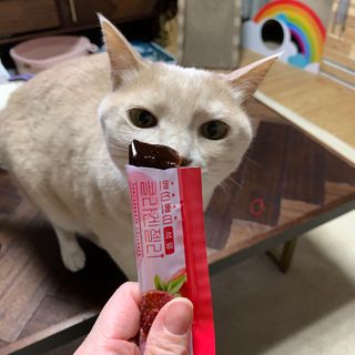 헬스업_쁘띠쁘띠석류콜라겐젤리_20g x 14포 — 4점을 준 리뷰어가 2021년 2월 올린 사용 사진