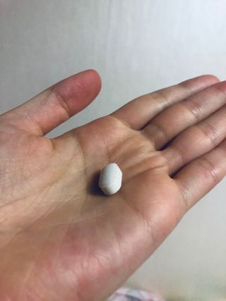 슬림플래닛 가르시니아 2500mg 비포밀 — 5점을 준 리뷰어가 2021년 9월 올린 사용 사진
